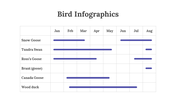 200077-bird-infographics-31