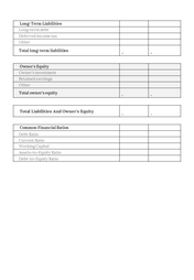 200262-financial-balance-sheet-02