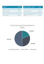 200262-financial-balance-sheet-06