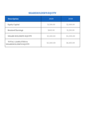 200262-financial-balance-sheet-08