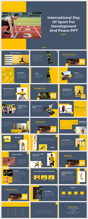 IDSDP PowerPoint Presentation and Google Slides Templates