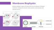 200348-biophysics-presentation-05