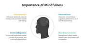 Usable Importance Of Mindfulness PPT And Google Slides