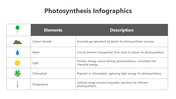 200798-photosynthesis-infographic-03