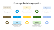 200798-photosynthesis-infographic-06