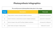 200798-photosynthesis-infographic-13