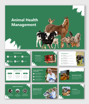 Best Animal Health Management PPT And Google Slides