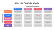 200865-lifecycle-portfolio-matrix-03