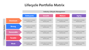 200865-lifecycle-portfolio-matrix-05