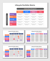 Editable Lifecycle Portfolio Matrix PPT And Google Slides