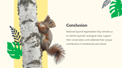 200979-national-squirrel-appreciation-day-06