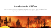 200999-wildfires-02