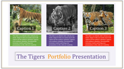 Multicolor Portfolio Presentation PPT and Google Slides