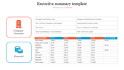 Executive summary layout with icons company overview and financial sections, tables showing financial metrics.