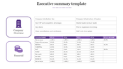 Executive summary slide featuring company details and financial data in a two-column layout placed in a white background.