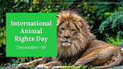 300024-international-animal-rights-day-01