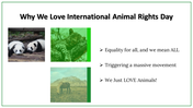 300024-international-animal-rights-day-24