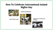 300024-international-animal-rights-day-27