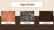 300028-world-soil-day-17