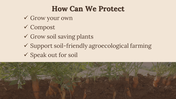 300028-world-soil-day-22