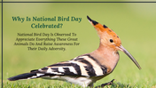 300052-national-bird-day-07