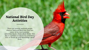 300052-national-bird-day-09