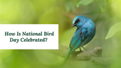 300052-national-bird-day-16