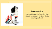 300053-national-dress-up-your-pet-day-02