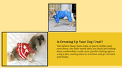 300053-national-dress-up-your-pet-day-13