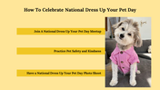 300053-national-dress-up-your-pet-day-19