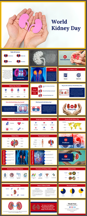 Visual of kidneys slide deck, with a text block detailing the significance of world kidney day and its annual observation.