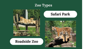 300071-zoo-lovers-day-13