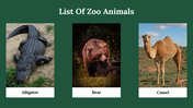 300071-zoo-lovers-day-18