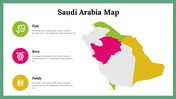 300074-saudi-arabia-map-20