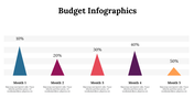 300077-budget-infographics-02