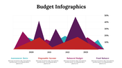 300077-budget-infographics-21