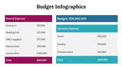 300077-budget-infographics-25