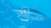 300106-world-tuna-day-06