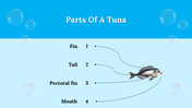 300106-world-tuna-day-12