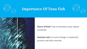 300106-world-tuna-day-26