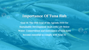 300106-world-tuna-day-28