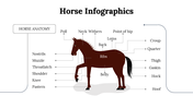 300112-horse-infographics-14