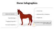 300112-horse-infographics-15