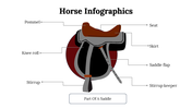 300112-horse-infographics-16