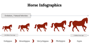 300112-horse-infographics-24