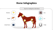 300112-horse-infographics-30