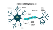 300262-neuron-infographics-02