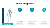 300262-neuron-infographics-04