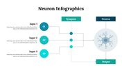 300262-neuron-infographics-07