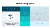 300262-neuron-infographics-08